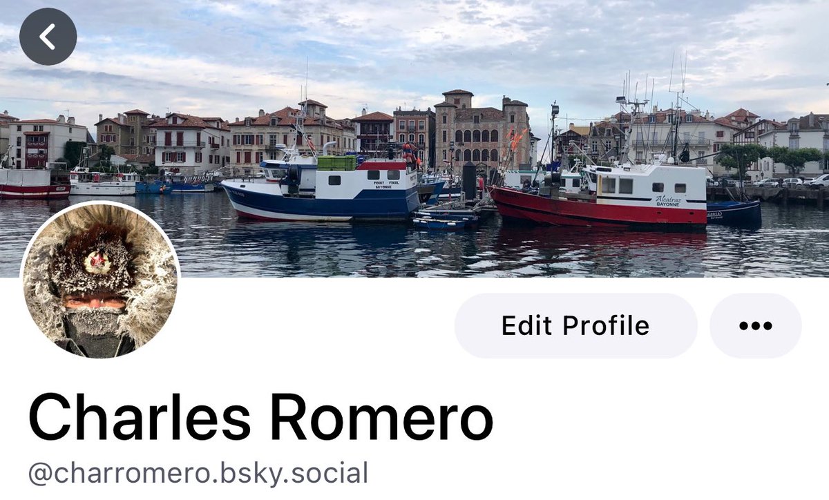 basco421's tweet image. Et si pour éviter la puanteur, on se retrouvait sous le ciel bleu ?