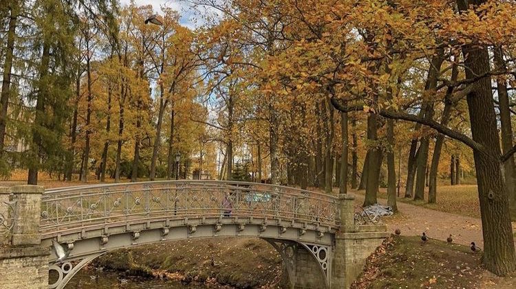 malusokay's tweet photo. Enjoying the warmer autumn days 🍂 https://t.co/vNK10cvEcu