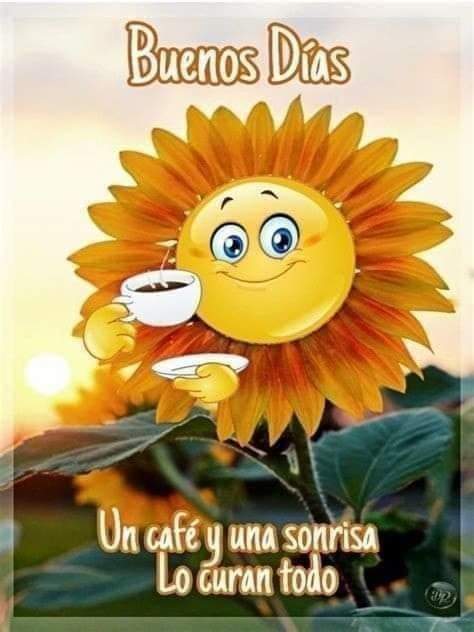 Feliz miércoles bonito día ❤️😊 !!!!