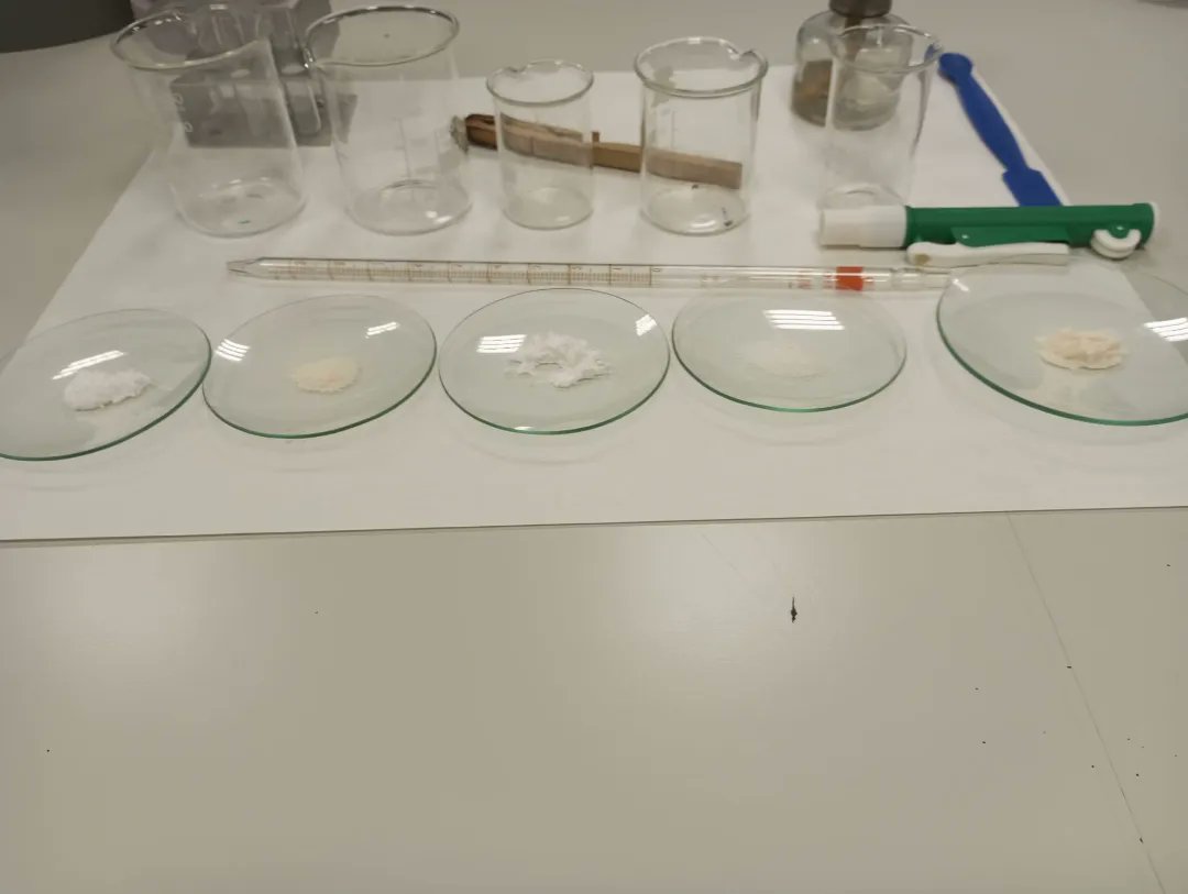 EllacuriaB's tweet photo. #Batx2 ko #biologia ikasleek gluzidoen identifikazioa egin dute, euren propietateetan oinarrituta: kolorea, zaporea, gardentasuna, erreduzitzeko ahalmena, ... 🧫🧪

#ellacuriazurbaran #jarduerak #gogoakutsatubihotzakhezi💝✒️📖 https://t.co/6abkB1O56G