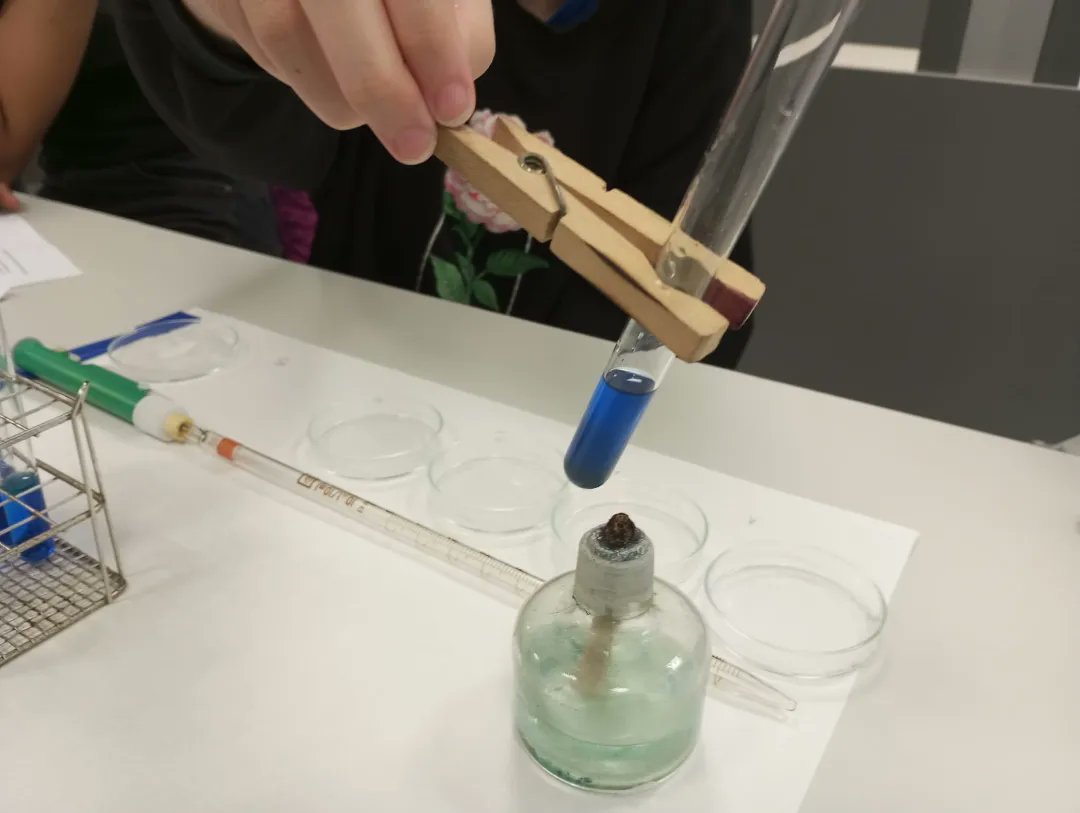 EllacuriaB's tweet photo. #Batx2 ko #biologia ikasleek gluzidoen identifikazioa egin dute, euren propietateetan oinarrituta: kolorea, zaporea, gardentasuna, erreduzitzeko ahalmena, ... 🧫🧪

#ellacuriazurbaran #jarduerak #gogoakutsatubihotzakhezi💝✒️📖 https://t.co/6abkB1O56G
