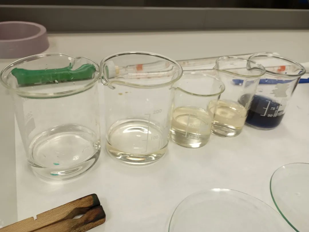 EllacuriaB's tweet photo. #Batx2 ko #biologia ikasleek gluzidoen identifikazioa egin dute, euren propietateetan oinarrituta: kolorea, zaporea, gardentasuna, erreduzitzeko ahalmena, ... 🧫🧪

#ellacuriazurbaran #jarduerak #gogoakutsatubihotzakhezi💝✒️📖 https://t.co/6abkB1O56G