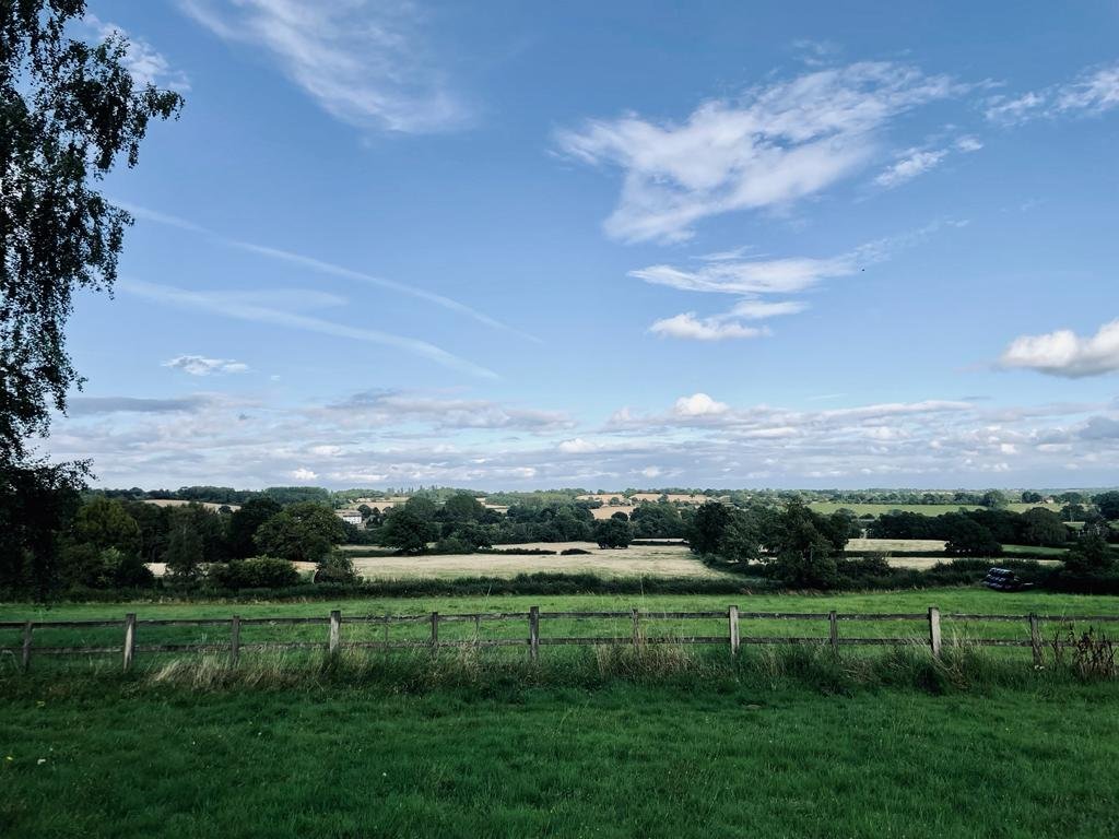 Rebecca Took tweet media