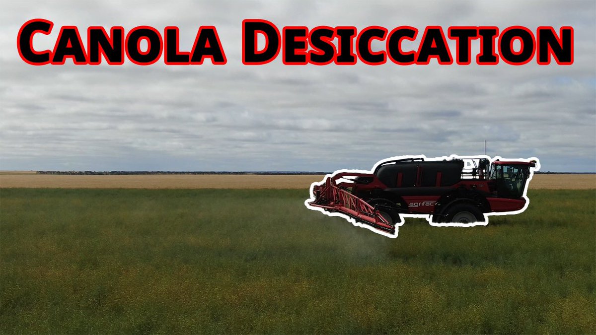 Tom’s Brook Farm tweet media