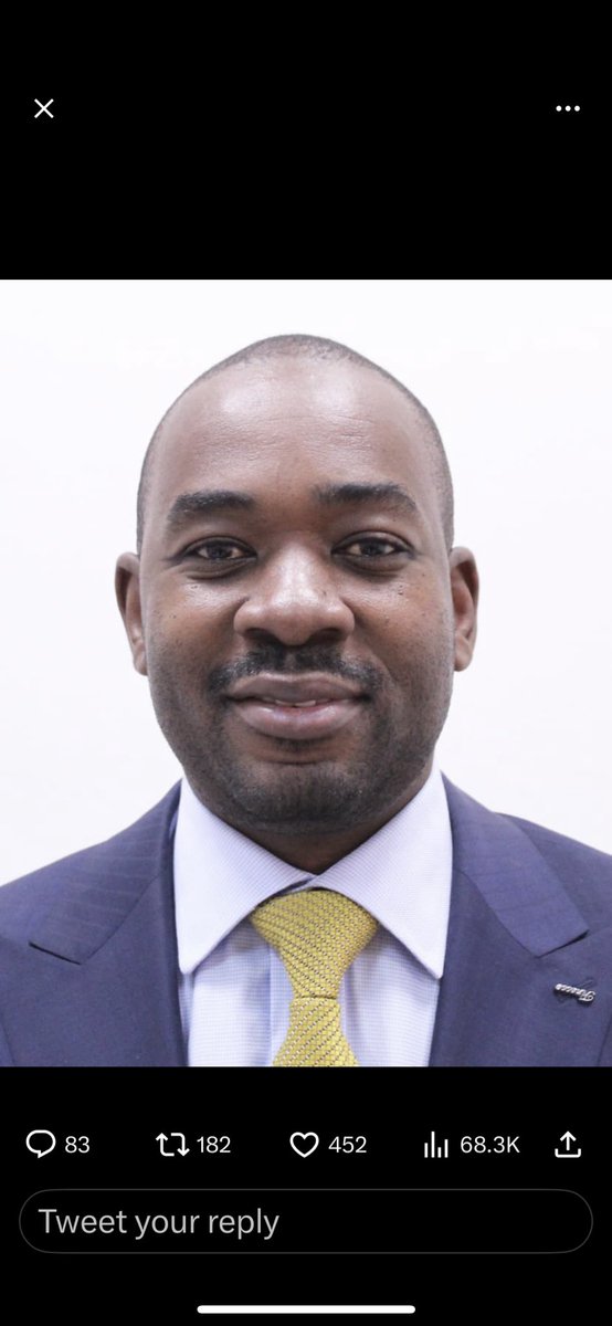 In local authority the de facto gov is CCC. In central gov the de facto gov illegally is Zanu PF and this needs to addressed says <a href="/nelsonchamisa/">nelson chamisa</a>. He says at the appropriate time they will peacefully protest in Zimbabwe