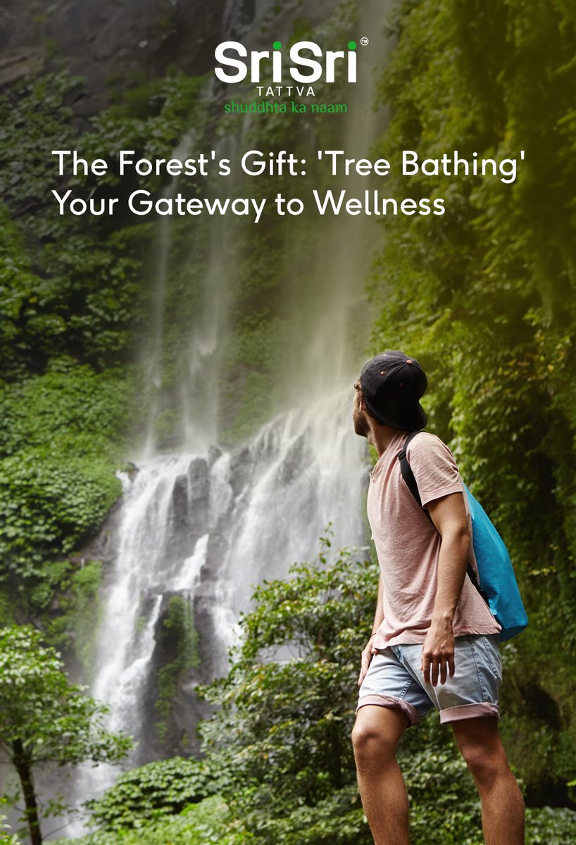 Ever heard of 'Tree Bathing'? 🌳 Studies prove it's more than a stroll—it's a natural remedy! Embrace the forest, breathe in the phytoncides, and let the trees boost your well-being. Your dose of green therapy awaits! 🌳💆‍♂️ #NatureHeals #WellnessJourney #SriSriTattva