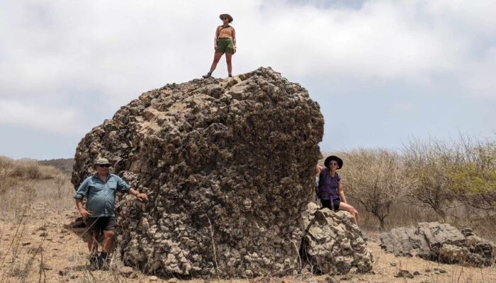 Dr. Ricardo Ramalho &amp; Dr <a href="/ShastaMtn/">Shasta Marrero (she/her)</a> of @cu_earth feature in this recent edition of the European Geoscience Union blog!   

A day in the life captured on fieldwork, as they investigate the geomorphology of basaltic island terrains in Cape Verde.   

blogs.egu.eu/divisions/gm/2…