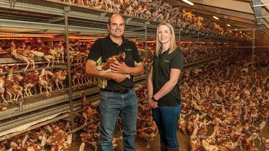 Farmers of the year, apparently. Brazenly, proudly posing with birds in a state that would (rightly) have the RSPCA knocking on your door if they were kept in your garden. How are you still not seeing it yet? If they're happy to show you this, imagine what they're not showing?