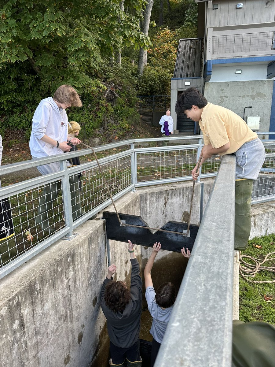 Joanna Rodriguez tweet media