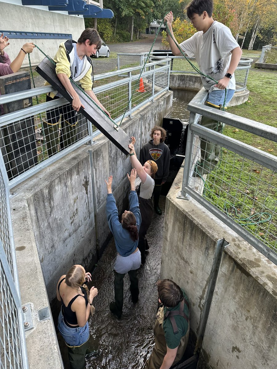 Joanna Rodriguez tweet media