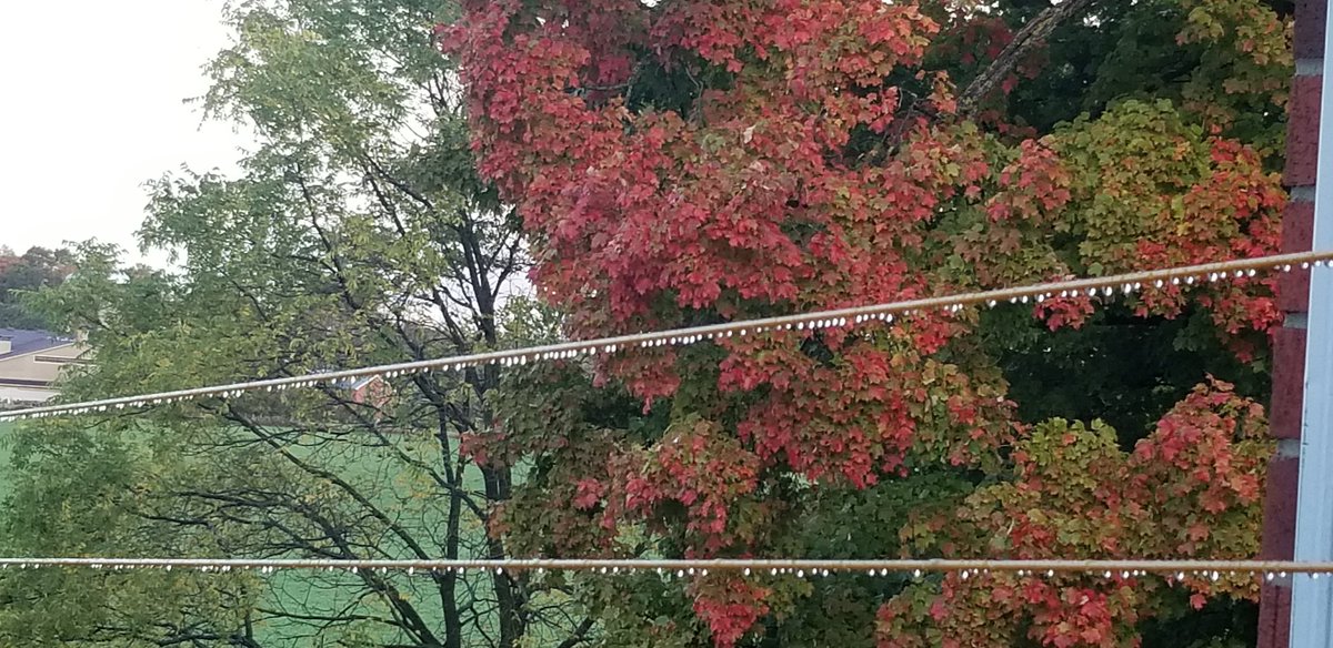 oldfarmgirlkah's tweet photo. #WorklessWednesday first hour
My foot got peed on during a 2 min phone call π₯΄ but the scenery is nice ππ
Those windmills are about 20 miles away at least, usually just see the lights on them when it's dark
Have a great day everyone π€π https://t.co/nkwNgT7uEq