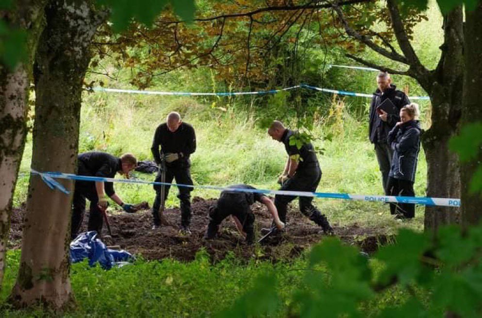 Un viejo agricultor escribió a su hijo que estaba en prisión:

"Querido hijo, este año no podré plantar patatas porque no puedo cavar el campo yo solo, sé que si estás aquí, me habrías ayudado".

El hijo escribió de nuevo: 

"Papá ni se te ocurra cavar el campo porque ahí enterré