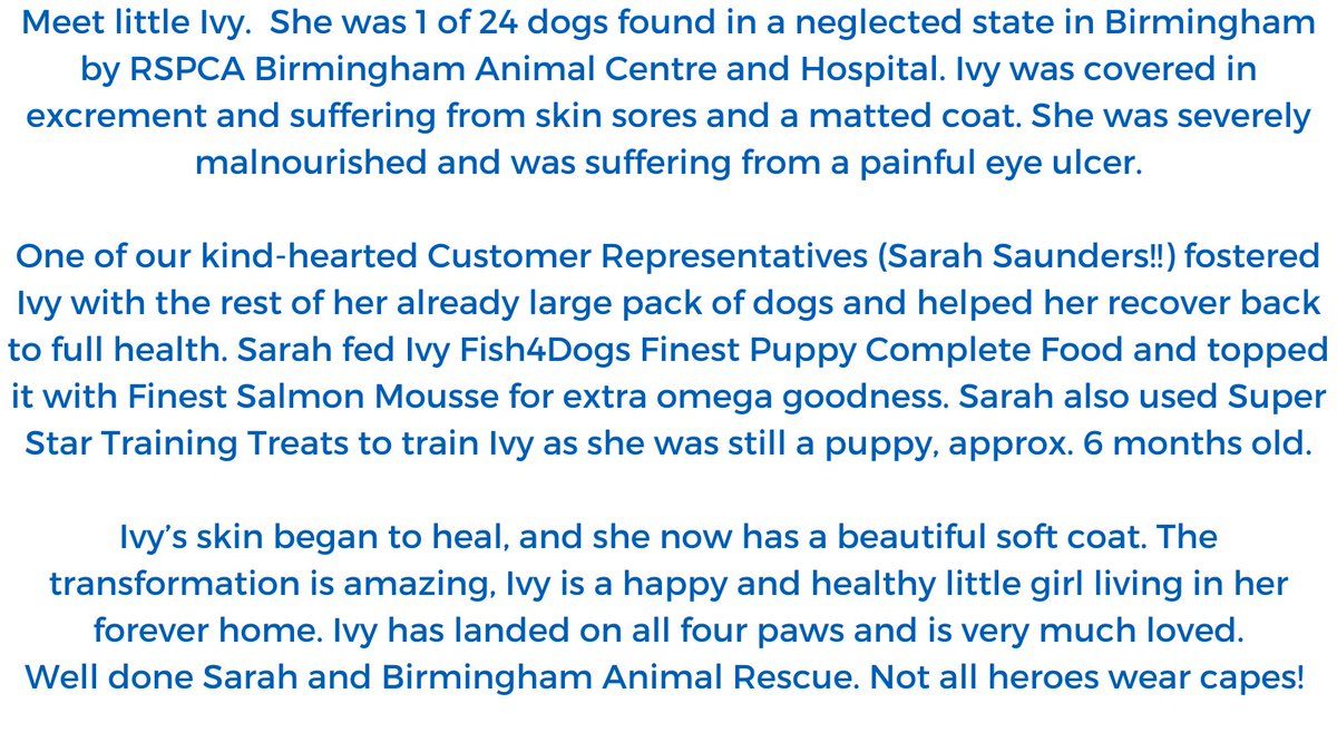 Fish4Dogs.com tweet media