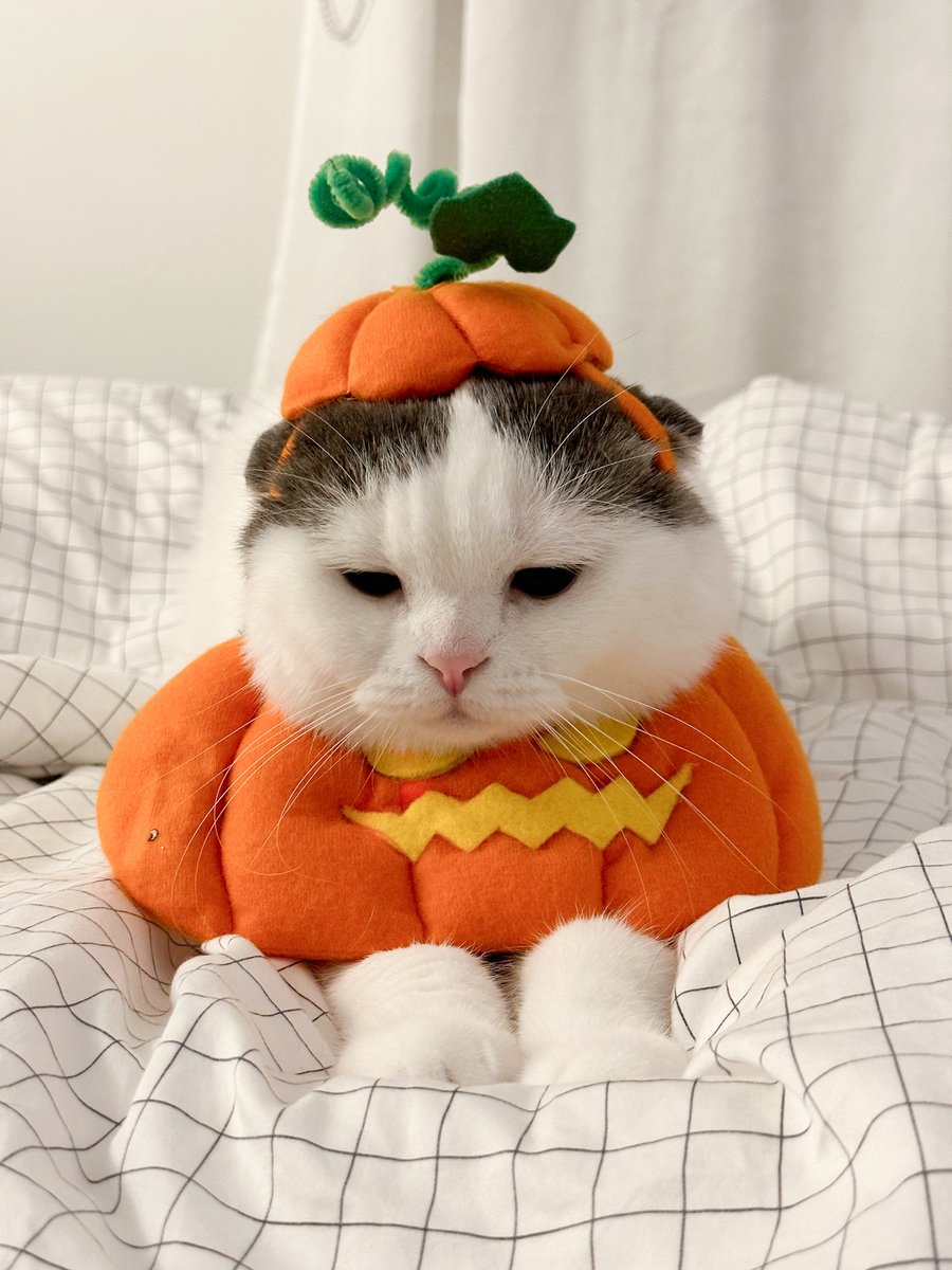 🤲🏻เอาไปให้ครบแก๊งงงง