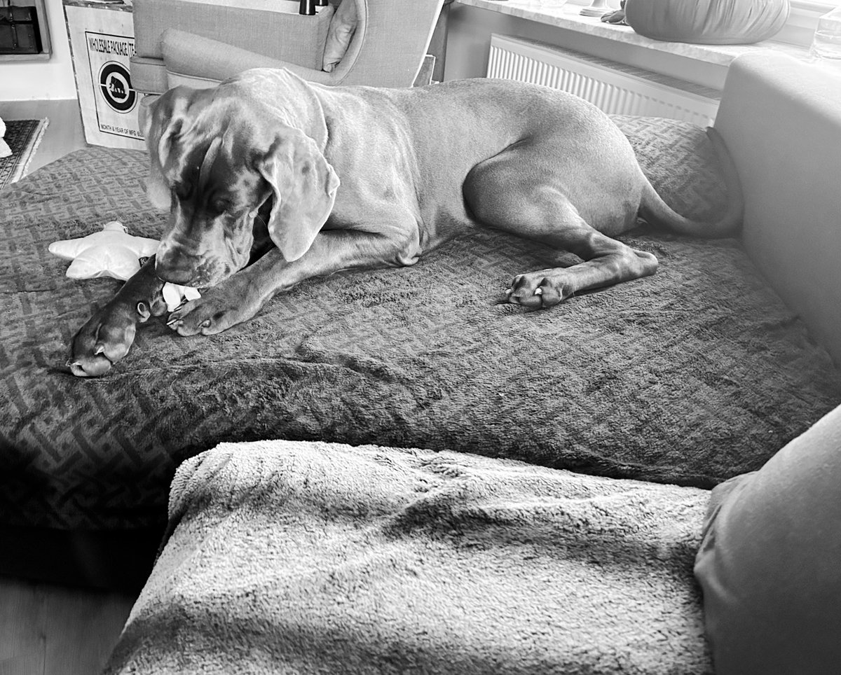 Aftermath tweet media