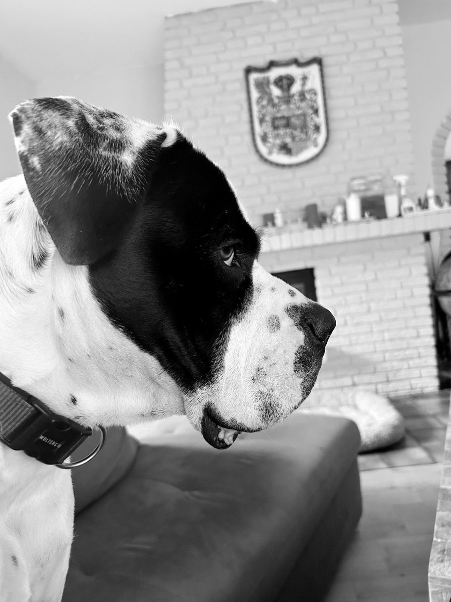 Aftermath tweet media