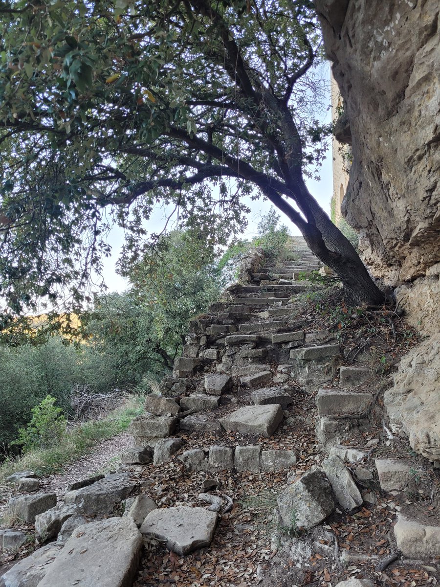 paquisoldado's tweet photo. #CastelldelaPopa
#sumant
@SoldadoTonyi @rosa_tanti
@SoniaPapell @eltemps_rtve @SergiLoras @alcantara_alb
@rbartolisala @TomasMolinaB
@Monica_Usart @AlfredRPico @meteorac1 #eltempstv3 @gemmapuigf @tempsdemeteo @eltempsTV3 https://t.co/5KO6pUDYTw
