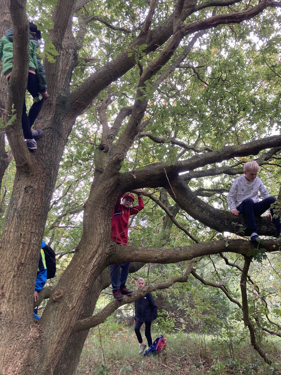 Op verzoek van onze kinderburgemeester. Samen met <a href="/inekevangent/">Ineke van Gent</a> en de kinderen van #Schiermonnikoog op zoek naar de beste plek om hutten te bouwen. #oerrr #natuurmonumenten #natuur