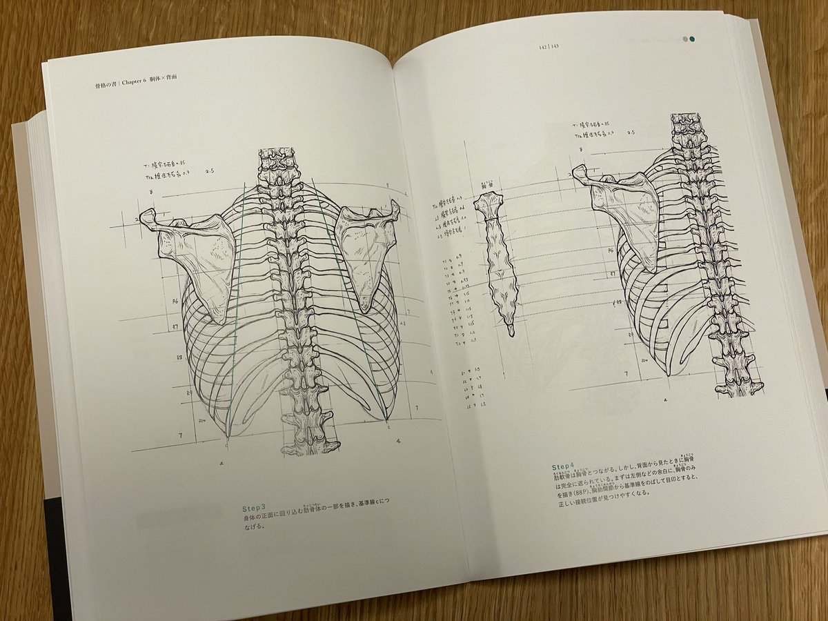 ボーンデジタルさんから『骨格の書』をご恵贈いただきました。台湾のイケメン美術解剖学の先生が執筆した骨格本。描き順が載っているので先生が観察した順番が見て取れます。