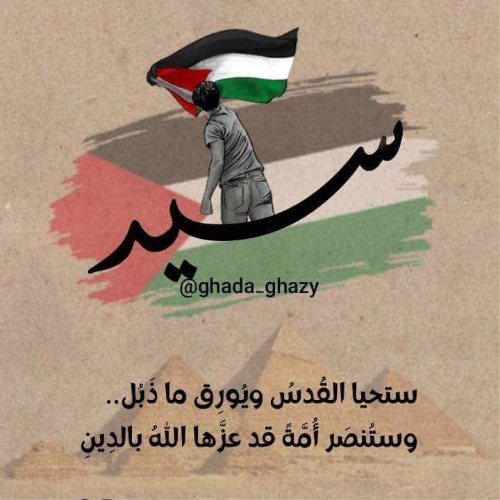 sayed nagah (@X25425908) / Posts / X