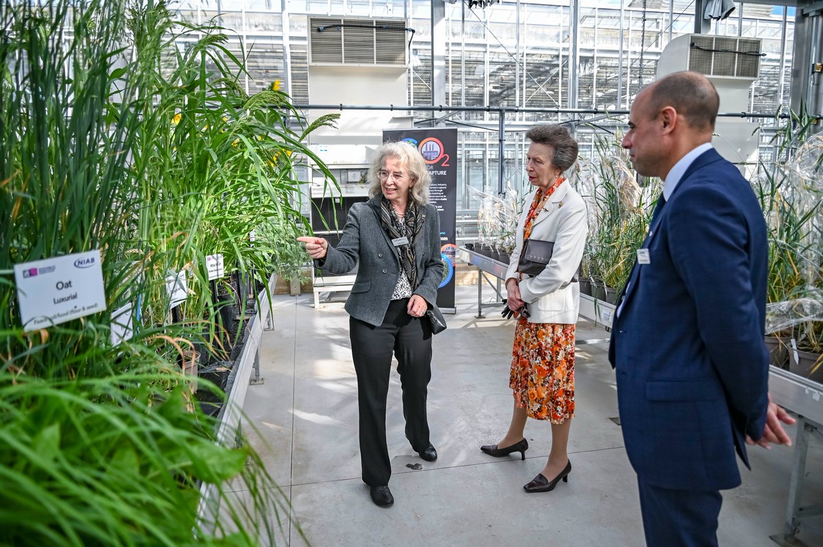 niabgroup's tweet photo. NIAB welcomed HRH The Princess Royal @RoyalFamily to a @BBSRC and @UKRI_News workshop at our Cambridge Park Farm site yesterday discussing how diversifying crops in food systems can improve health of people &amp; planet #resilience #climatesmart #food systems for all @FoodSecurityUK https://t.co/njd7ifX6to