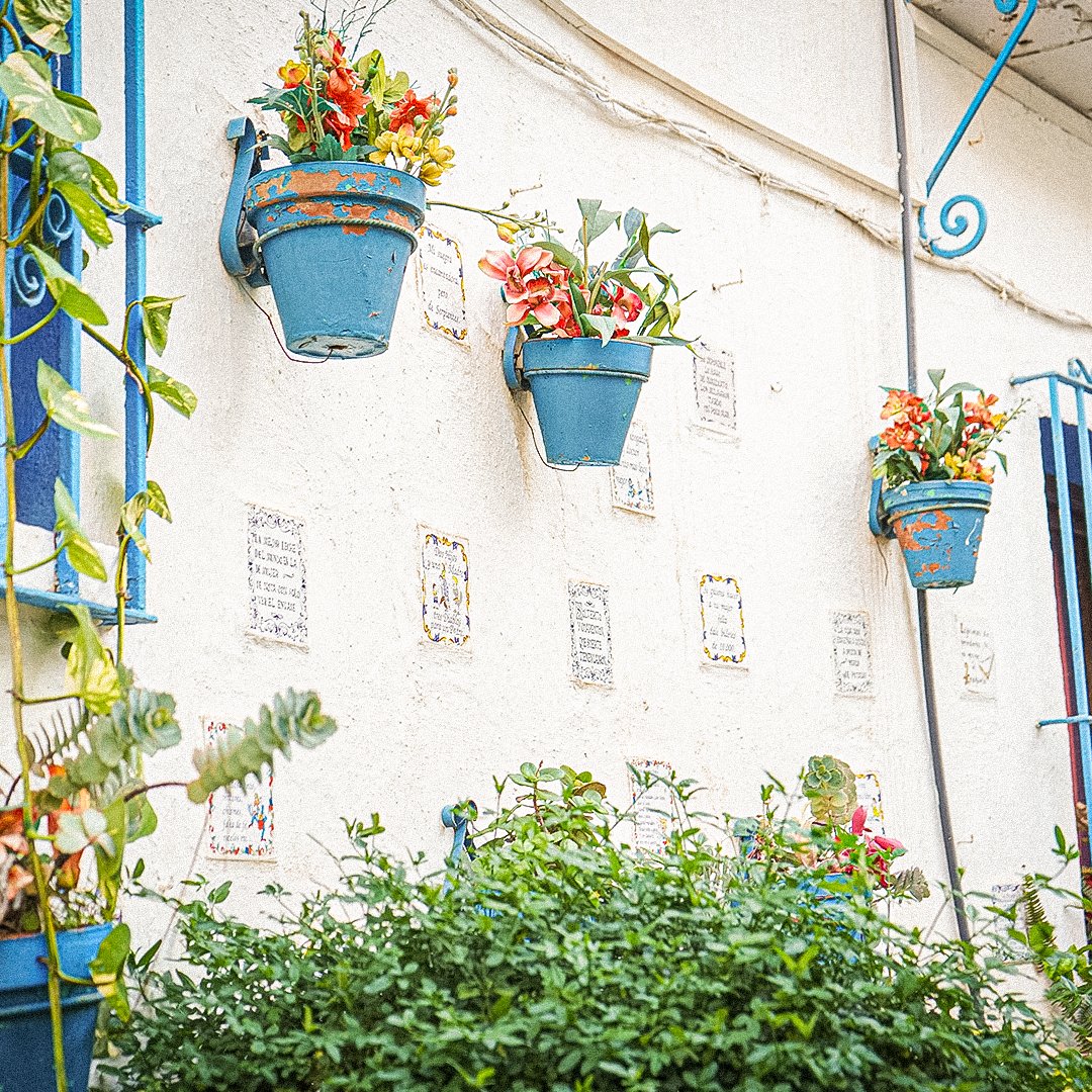 🌀 En medio del torbellino de la vida actual, ¡qué importante es recordar ir más despacio!
🧳 Por eso, la próxima vez que visites #Torremolinos, olvídate de hacer turismo a toda prisa y practica el "slow travel", una filosofía que te invita a saborear cada momento.