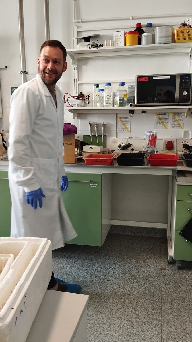 NadiaKbiri's tweet photo. Today I had the immense please to assist Prof Ziołkowski (@Piotraz1 ) in preparing films for seed-scoring. https://t.co/N6AImM2WRe