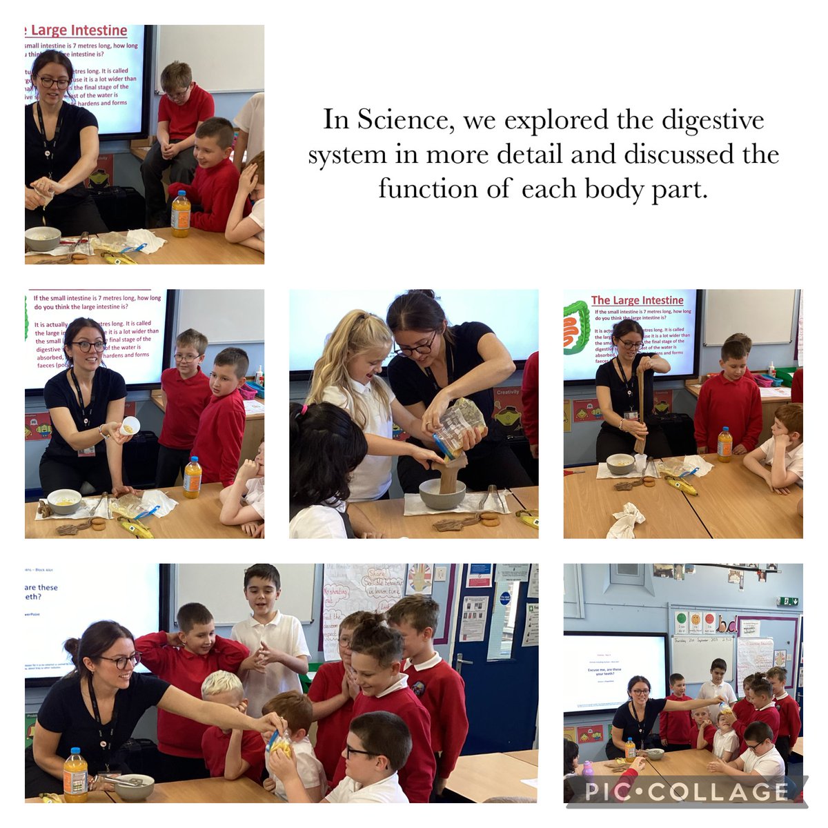 More photos of learning in Year 4. <a href="/RedscopeSchool/">Redscope School</a>