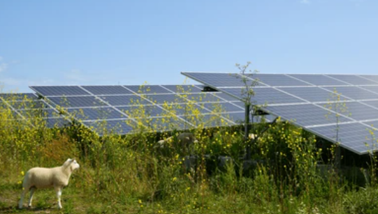Lightstar_Solar's tweet photo. Lightstar’s VP of Strategy @Lucy Bullock-Sieger will be in Amsterdam Nov. 7-9 to speak at @Leadvent Group’s 2nd annual agrivoltaics conference! Lucy brings knowledge on the #agrivoltaics and #CommunitySolar space with Regional Experience and Use Cases. https://t.co/nCCRHREwdS https://t.co/BkRXDZGYBY