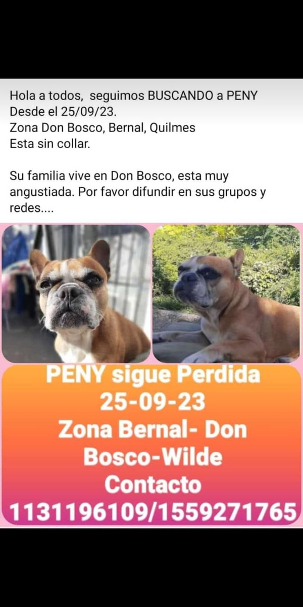 #buscada