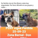 Photo by Amores Animales (@amores_animales)