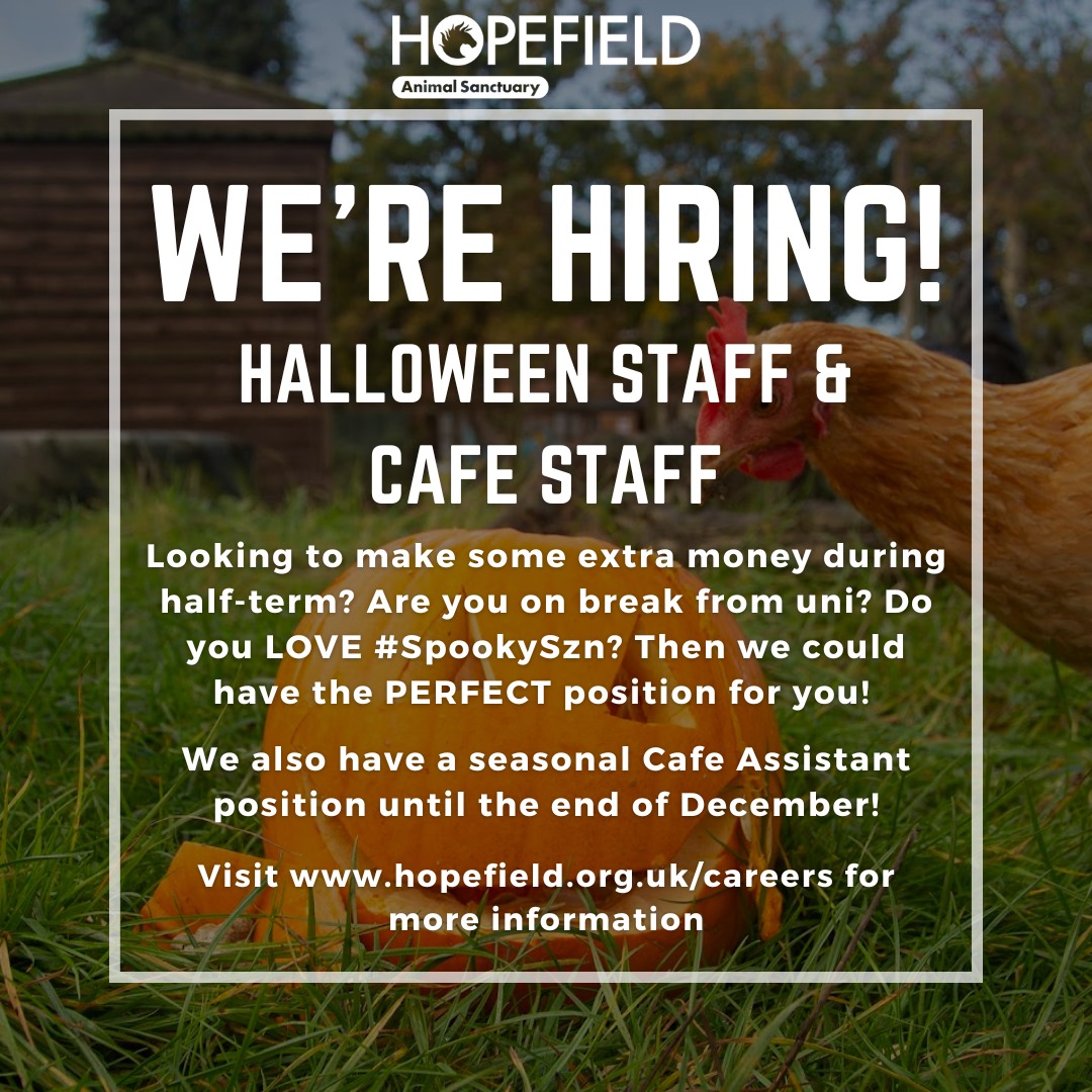 Are you the perfect person to join the Hopefield team? Then apply today! We can't wait to meet you.

hopefield.org.uk/careers/

#essexjobs #jobsinessex #recruitment #hiring