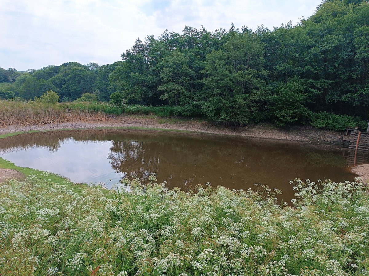 bagheri28mehdi's tweet photo. Having a field trip to @Tattiscombe catchment to 
assess Natural Flood Management Solutions by @EnvAgency, @CREWW_uk, @Natural_Trust and @DevonCC and @DRIP. 
#NFM
#Nature_Based_Solutions https://t.co/STVI7YRibF