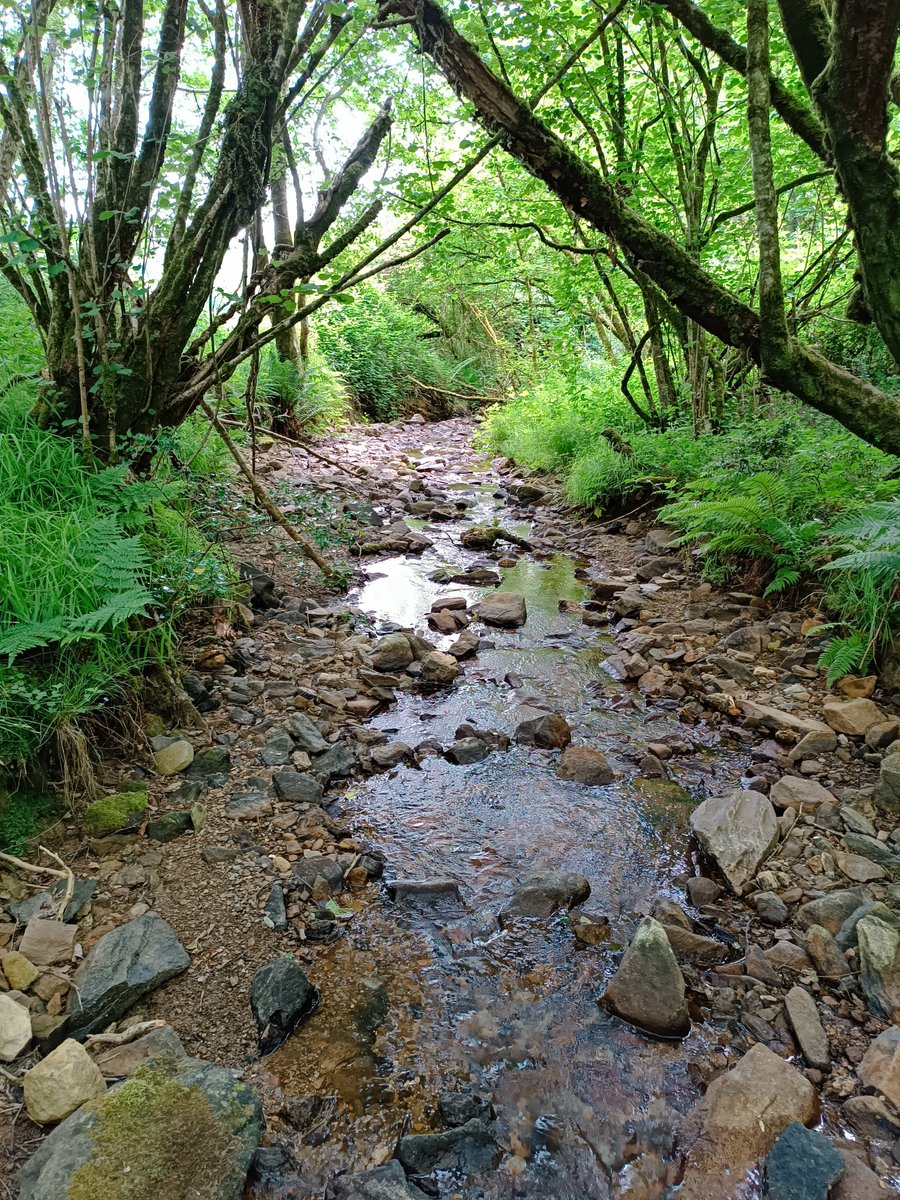 bagheri28mehdi's tweet photo. Having a field trip to @Tattiscombe catchment to 
assess Natural Flood Management Solutions by @EnvAgency, @CREWW_uk, @Natural_Trust and @DevonCC and @DRIP. 
#NFM
#Nature_Based_Solutions https://t.co/STVI7YRibF