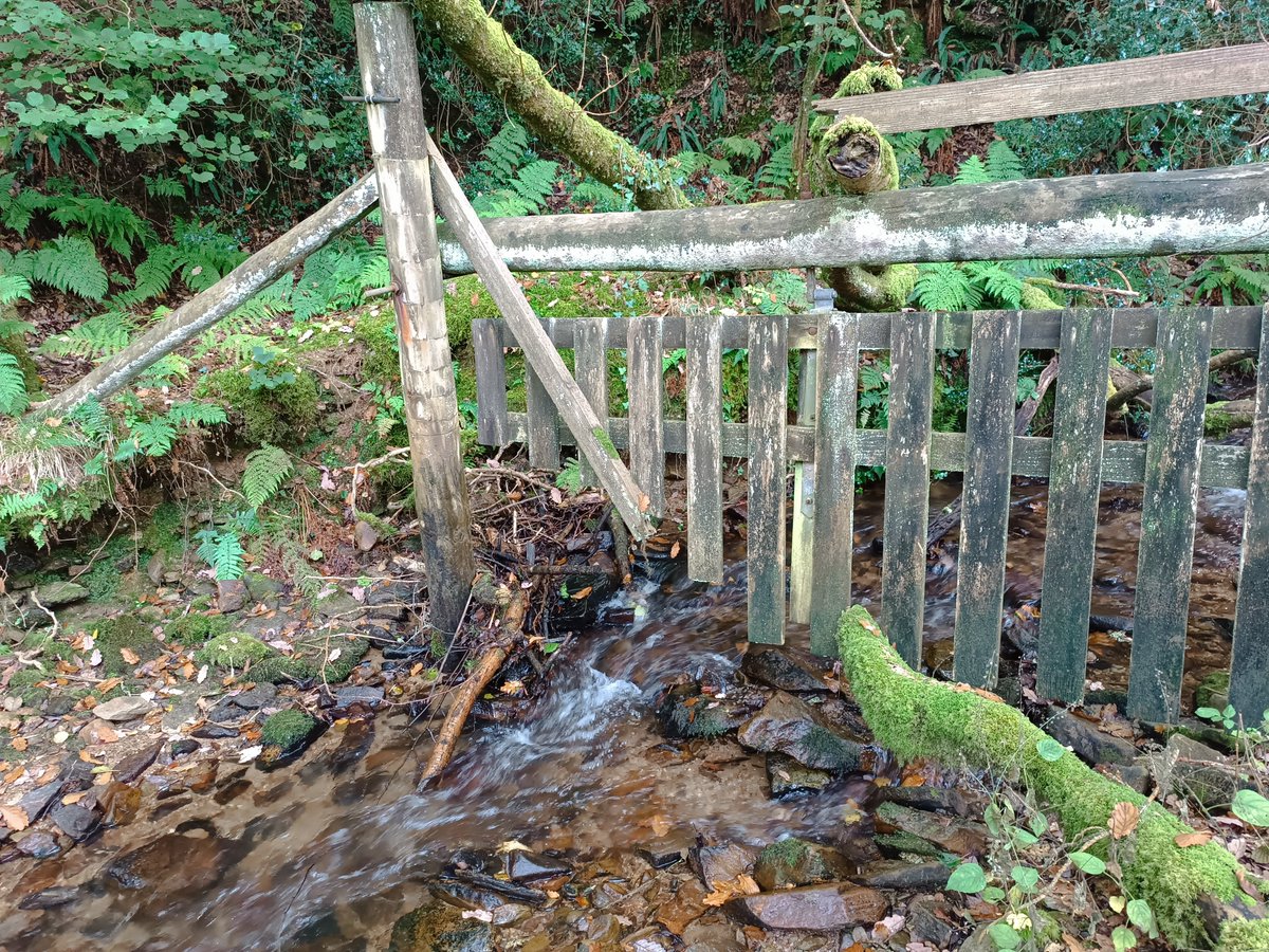 bagheri28mehdi's tweet photo. Having a field trip to @Tattiscombe catchment to 
assess Natural Flood Management Solutions by @EnvAgency, @CREWW_uk, @Natural_Trust and @DevonCC and @DRIP. 
#NFM
#Nature_Based_Solutions https://t.co/STVI7YRibF