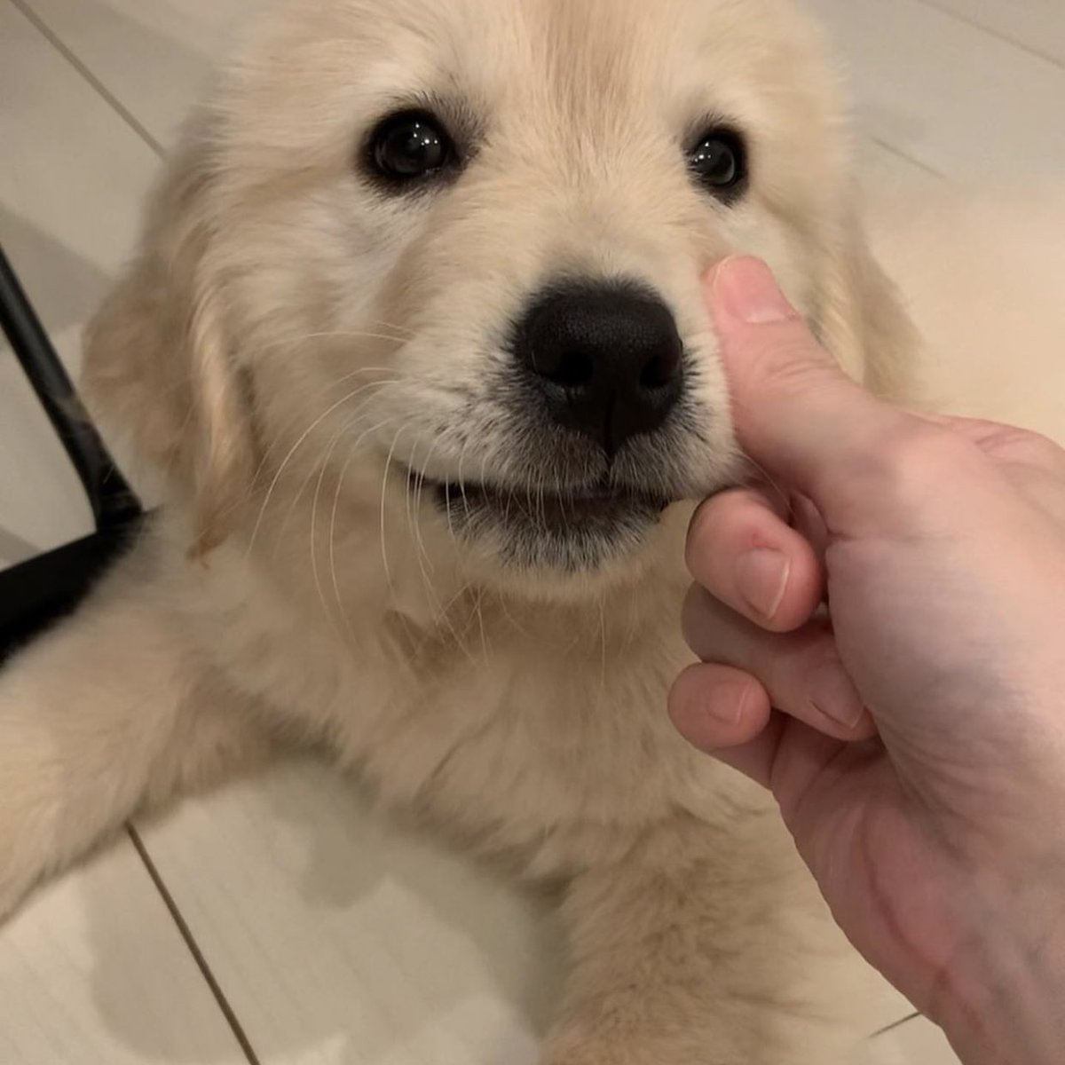 takemybear 🐶 tweet media
