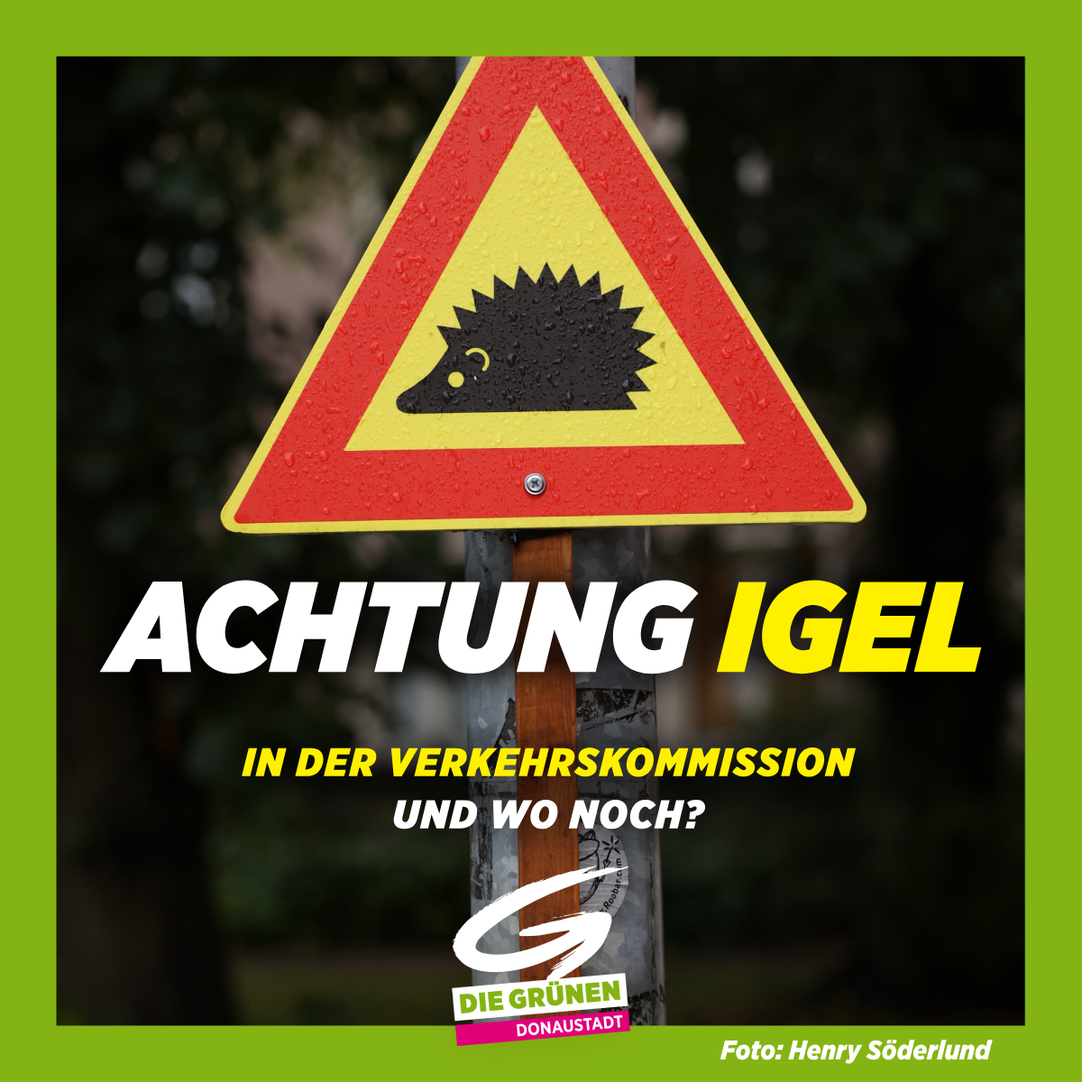 Achtung Igel in der Verkehrskommission!
In der Zschokkegasse sollen Schilder mit der Aufschrift "Achtung Igel" aufgestellt werden - die Donaustädter Bezirksvertretung wird sich das bei einer Ortsverhandlung ansehen. Kennst du noch eine Stelle, an der ein Schild stehen sollte?