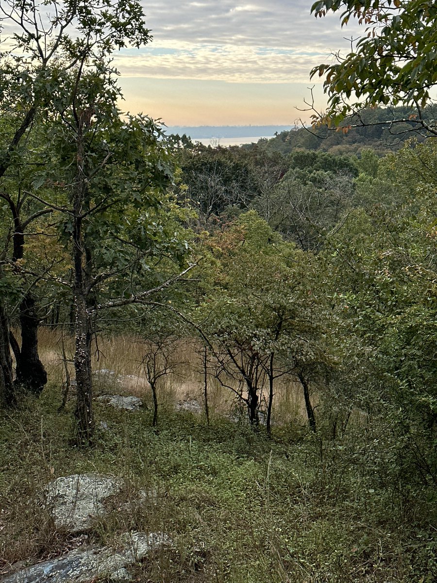 The promised land is a promise you make to yourself.