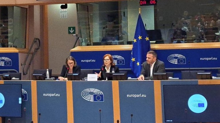 Eurelectric's tweet image. The event&apos;s host @mgracacarvalho stressed the importance of implementing the package that has been put in place.

#SolarConnection #Grids4Speed 👉 eurelectric.org/media/6693/sol…