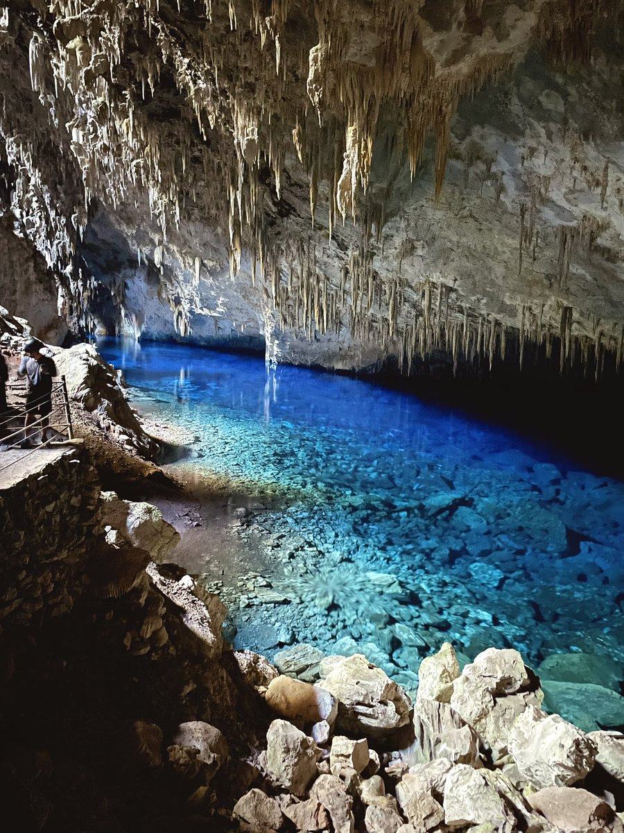 Lucas, o maluco do PC microondas tweet media