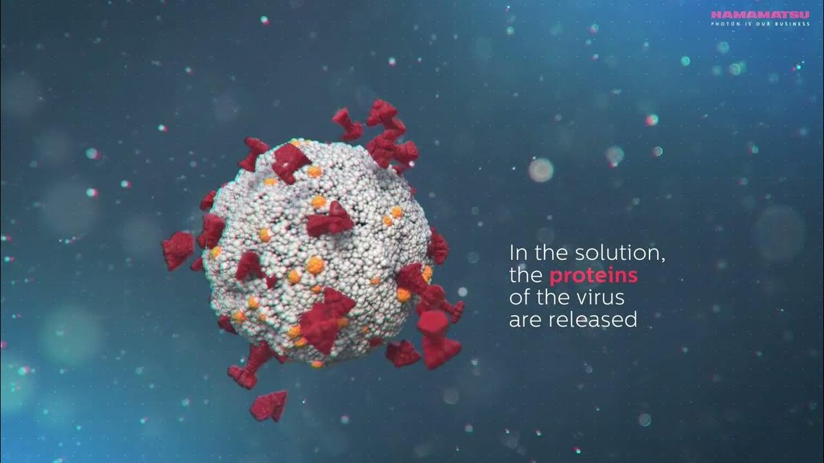 HamamatsuPhoton's tweet photo. Immunochromatographic readers provide an accurate reading for antigen testing. Watch how Hamamatsu technology is enabling rapid and quantitative antigen tests for various diseases, including COVID-19. https://t.co/16TwZ3d6Xt
#antigentests #COVID19 https://t.co/VHAamtVwEa