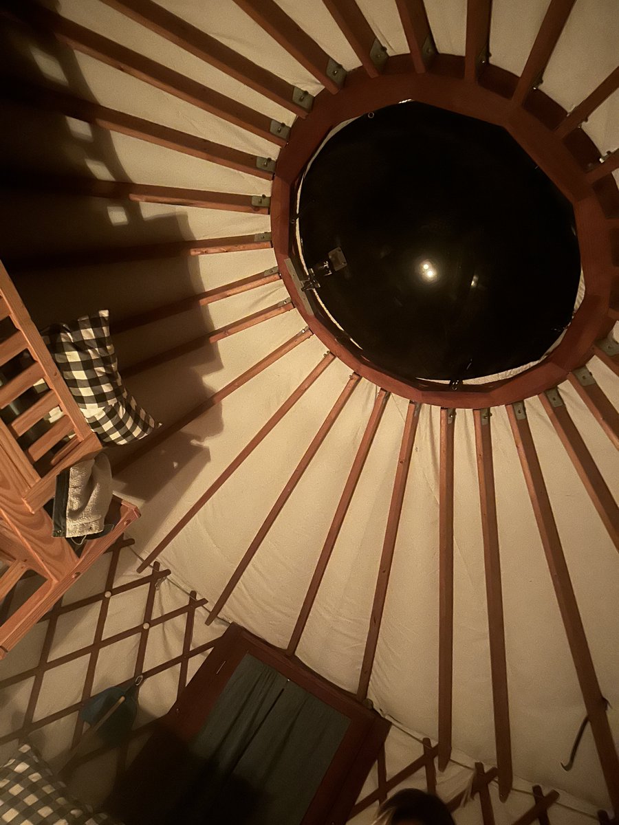 Bilo🌾 tweet media