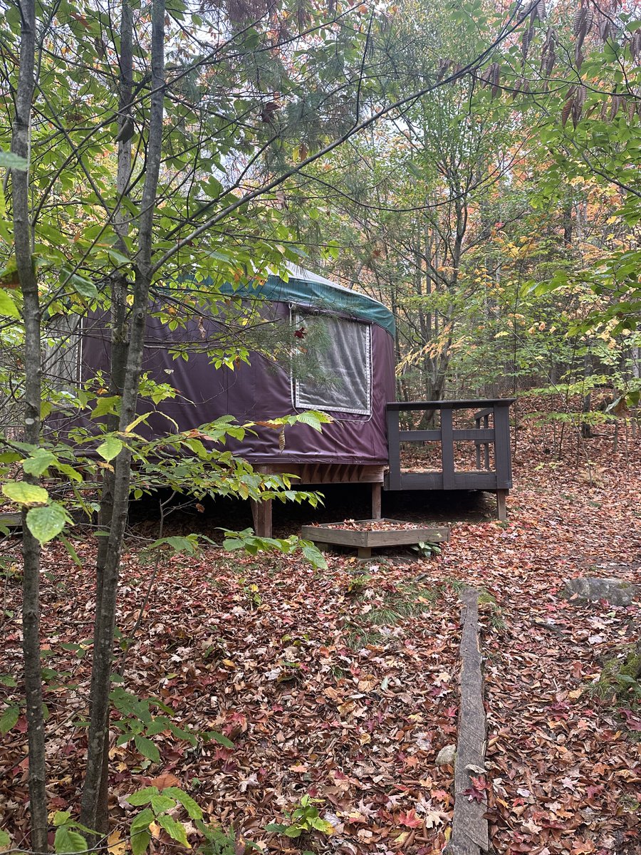 Bilo🌾 tweet media