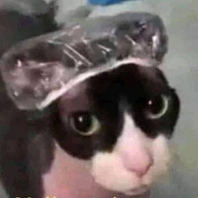 Leo! | DJ NOVE HORAS VINTE E OITO MINUTOS tweet media