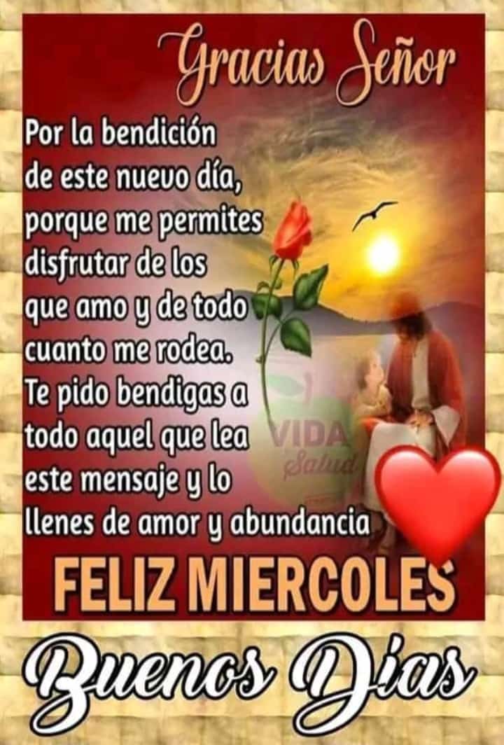 Rosa Ibarra (@rosaiba58330843) on Twitter photo 