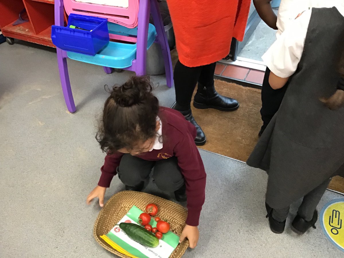 MsJGrieveHMPS's tweet photo. Nursery and Reception have been harvesting in our garden, yum yum! I wonder what food we will make! @HerbMorrPriSch #naturalthinkers https://t.co/6v42Zg8us8