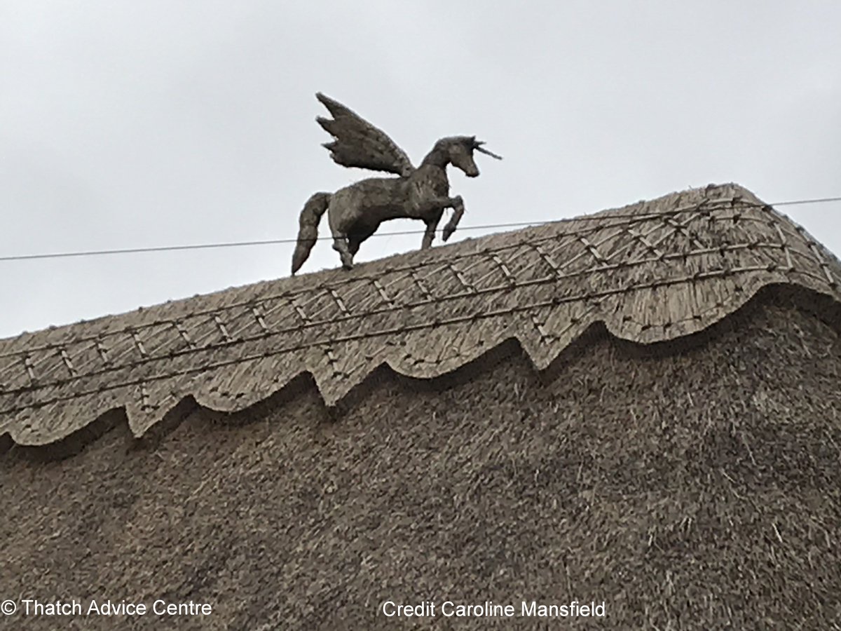 ThatchAdvice's tweet photo. #Friday #FinialFun
How about lucky horseshoes on a #Unicorn on Friday 13th π
Thank you to Caroline Mansfield for this great shot. https://t.co/iFyNFv7SSe
