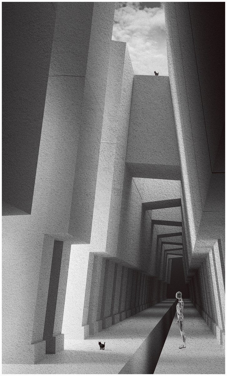 Korch ⚫ eth l tez tweet media