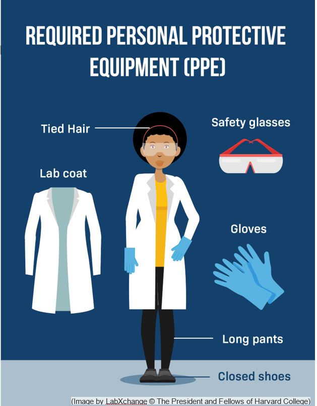 Ppe In A Lab Science Lab Coat And Goggles