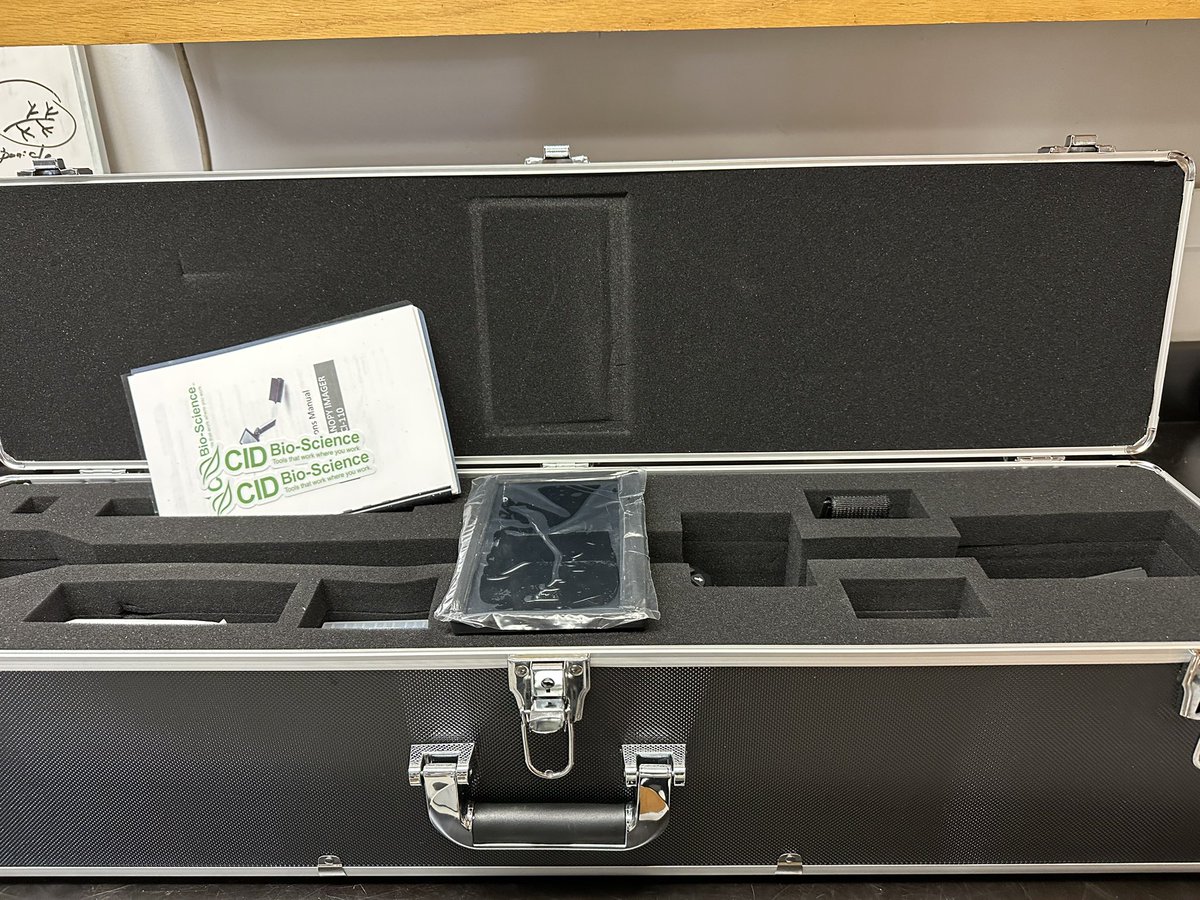 mzkroni's tweet photo. New member in the lab @CIDBioScience. Thanks Dr. @GNunezUF 
⇒exciting「times」ahead 🫐📈
#smallfruit, #teamwork, #LAI https://t.co/ZsoCEgsBQe